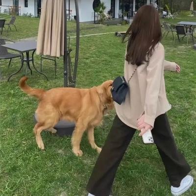 爱无间